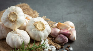 Is Garlic Essential to Italian Cuisine? 