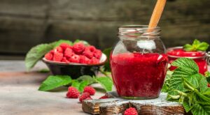 22 Dairy-Free Raspberry Recipes