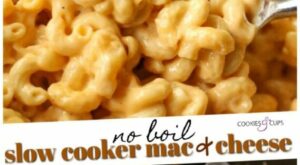 No Boil Slow Cooker Mac and Cheese – My Droll