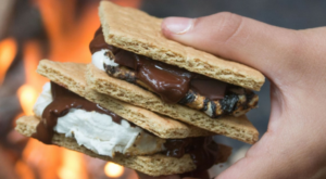 It’s Summer—Get Your Graham Crackers Ready for These Must Make Vegan Recipes