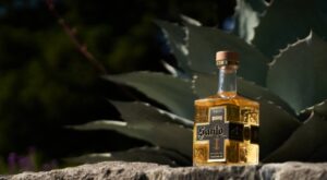 Guy Fieri and Sammy Hagar Teamed up for a New Tequila, and It’s Actually Good
