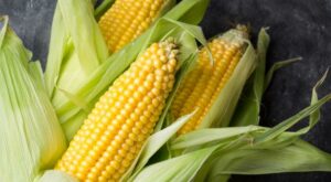 Everything to Know about Corn