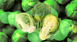 Ingredient of the week: Brussels sprouts – The Spinoff