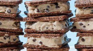 5-Ingredient Chocolate-Peanut Butter Nice Cream Sandwiches – EatingWell