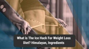 What is The Ice Hack For Weight Loss Diet? Himalayan, Ingredients – Deccan Herald