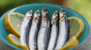 What To Look For When Buying Fresh Anchovies – Tasting Table