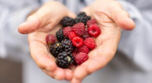 Nutrition: Health benefits, storage tips, recipes for summer berries