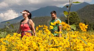 Northern Arizona offers escape from heat, adventures for the entire family each summer – The Daily Independent at YourValley.net