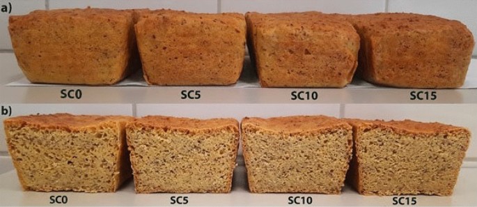 Sunflower seed cake as a source of nutrients in gluten-free bread – Scientific Reports