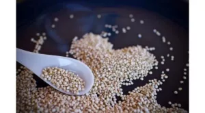 Powerful Plant Proteins: Exploring The Health Benefits of Quinoa