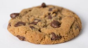 Flavor-Packed Cookies Finally Break the Gluten-Free Glass Ceiling