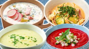 13 Cold Soups From Around The World You Should Know For Summer – Tasting Table