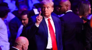Trump’s encounter with Guy Fieri at UFC fight sparks mixed reactions