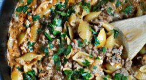 Creamy Shells and Beef | Recipe | Ground beef recipes easy, Easy pasta dishes, Pasta dishes