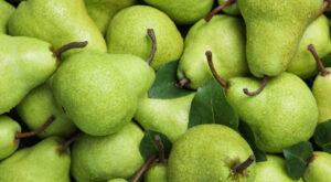 27 Best Pear Recipes – Tasting Table