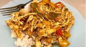 Instant Pot™ Shredded Barbecue Chicken Recipe With Tri-Color Bell Peppers | Instant Pot Recipe | 30Seconds Food