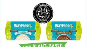 WayFare Announces Its Line of Dairy-Free Puddings in Albertsons Nationwide