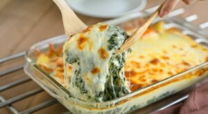 23 Best Canned Spinach Recipes to Make Today