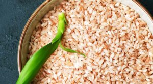 Is Rice Gluten Free? Uncovering the Truth – Chefd
