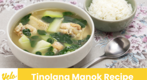 Tinolang Manok: A Taste of Filipino Comfort and Tradition – Yelo HTX