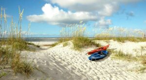 Fripp Island Celebrates The Glory Of The Unspoiled Lowcountry