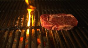 How to cook steak properly – ABC Sydney