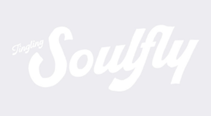 Catering Menu | Soulfly Chicken | Comfort Food in Miami, FL