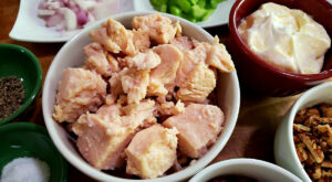 Dinner Ideas with Canned Chicken and Easy Recipes