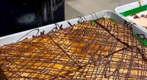 Matzo toffee is so delicious, we want to eat it all year ✨ (🎥: Lagusta’s Luscious) | Food Network | Food Network · Original audio