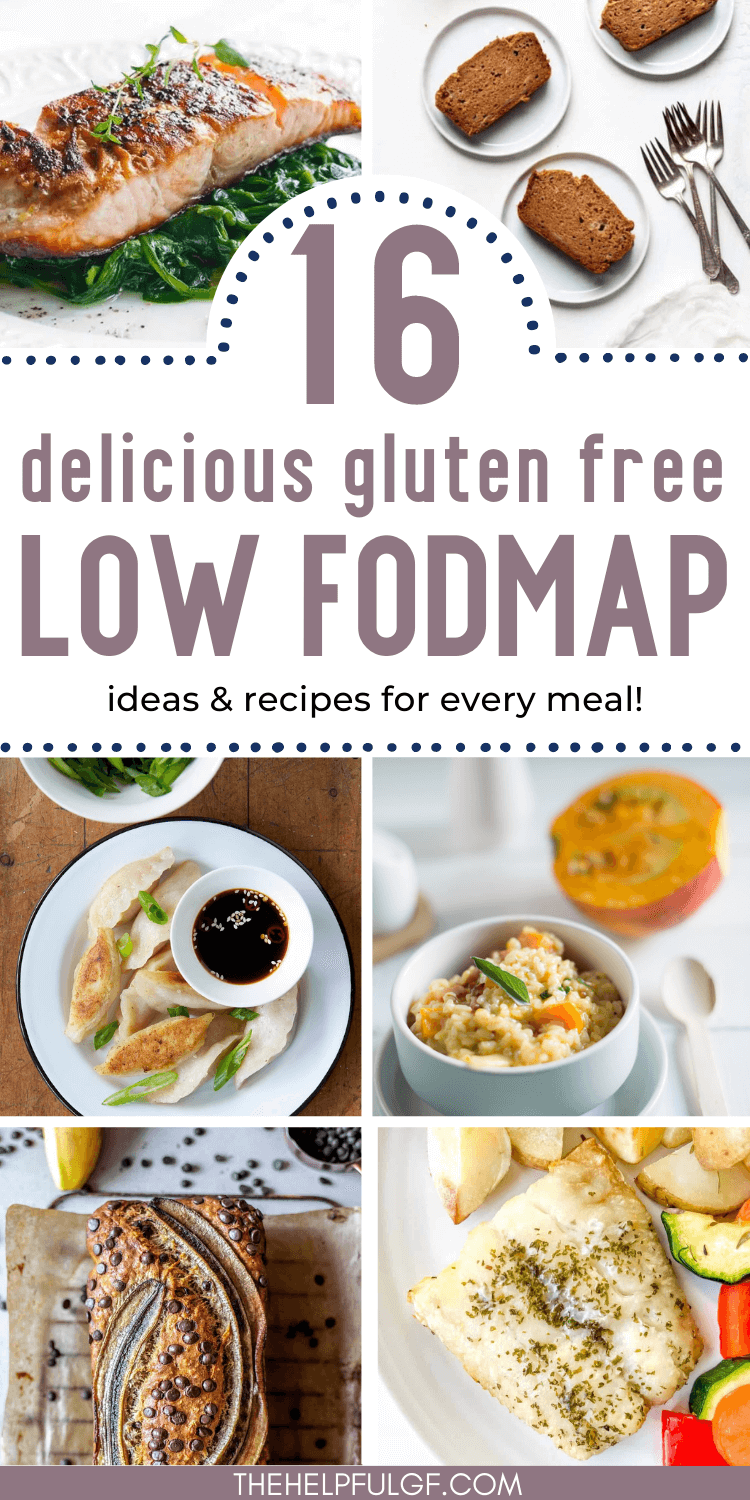 16 Greatest Low FODMAP Gluten Free Recipes