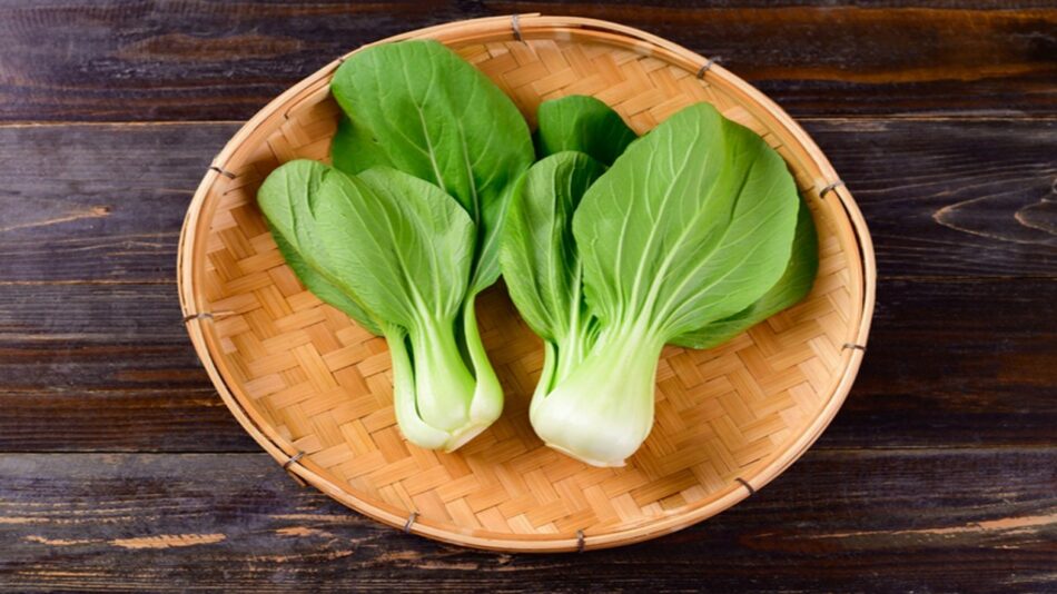 Health Benefits of Bok Choy: Everything You Need to Know – PINKVILLA
