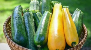 The Answer to the Midsummer Too-Much-Zucchini Problem – Yahoo Life