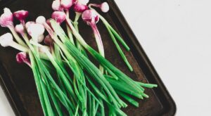 Why Keep Spring Onions in the Kitchen: For Good Health and Delish Meals – NDTV Food