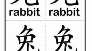 Pin on Year of the Rabbit: Chinese New Year – B R Pinterest