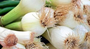 Confusion over different types of onions unravelled – Geelong Advertiser