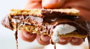 Air Fryer S’mores – The Recipe Critic