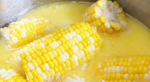 The BEST Way to Cook Corn on the Cob – The Suburban Soapbox