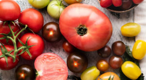 Why Everyone Loves Heirloom Tomatoes (Plus, 7 Vegan Recipes) – VegNews