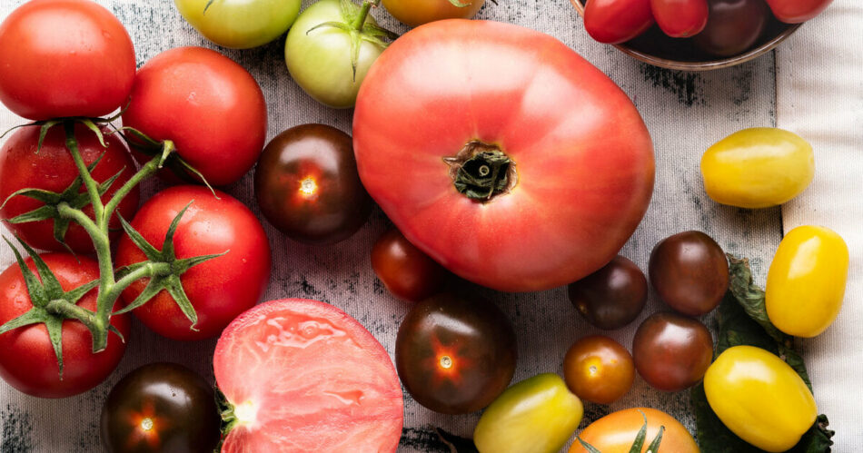 Why Everyone Loves Heirloom Tomatoes (Plus, 7 Vegan Recipes) – VegNews