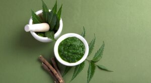 Stay Healthy This Monsoon! 5 Creative Ways To Include Neem In Your Diet – NDTV Food