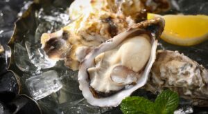 The Chef-Approved Reason You Should Never Buy Frozen Oysters – Daily Meal