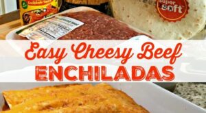 Easy Cheesy Beef Enchiladas  (4 Ingredients) | Recipes, Easy beef enchiladas, Easy meals