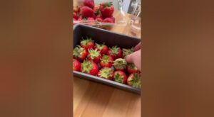 Strawberry Daiquiri Bites | Food Network | Flipboard