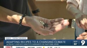UA’s ‘Tasting Tomorrow’ project adapts recipes to changing climates