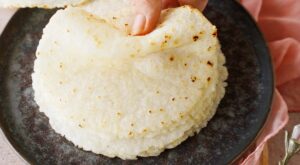 Rice Tortillas (No Flour, Gluten-Free Wraps) – Elavegan