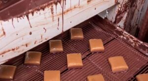 Coating fresh caramels with chocolate at Ragged Coast in Portland, Maine! Ragged Coast Chocolates 🍫 | By Food Network | Facebook
