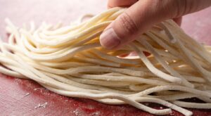 The Major Differences Between Dry And Fresh Udon Noodles – Tasting Table