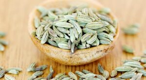 What Are Fennel Seeds and How Do You Cook with Them?