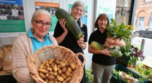 Community gardens across Inverclyde need volunteers to keep growing
