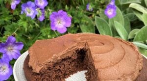 Chocolate fudge cake recipe using M&S
